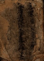 阿公店溪改修工事受益地並等綴藏品圖，第2張