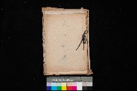 鳳山機場藏品圖，第1張