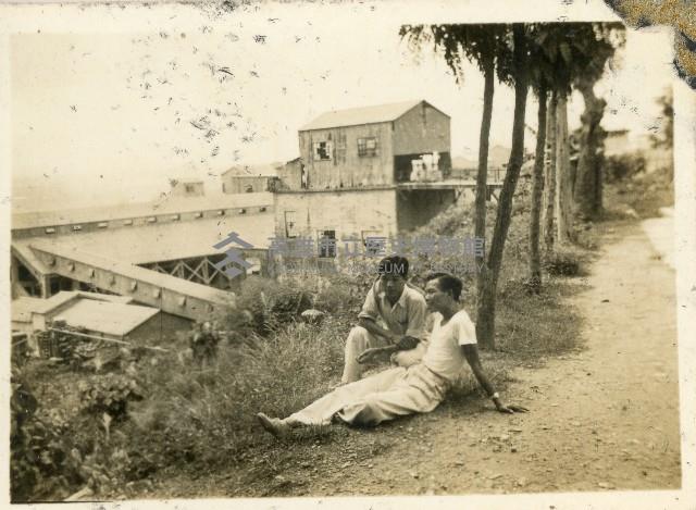 台泥員工壽山合照藏品圖，第1張