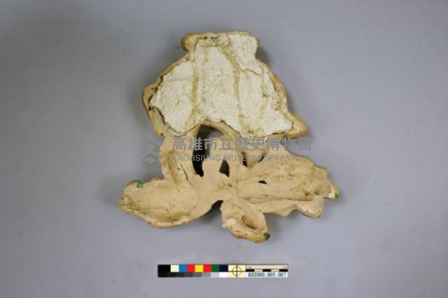 交趾陶馱象壁塑藏品圖，第4張