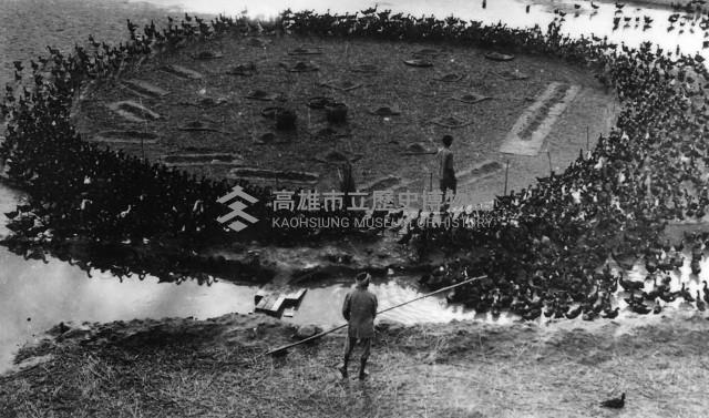 登錄號:KH2006.014.0268藏品圖，第1張