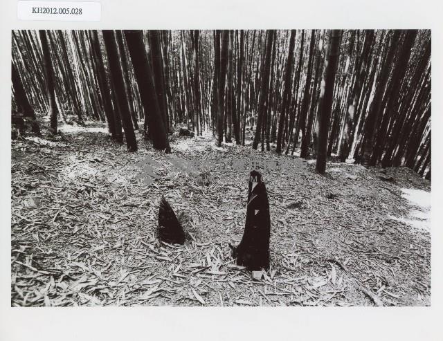 登錄號:KH2012.005.0028藏品圖，第1張