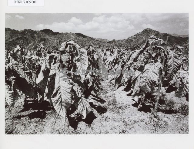 登錄號:KH2012.005.0008藏品圖，第1張