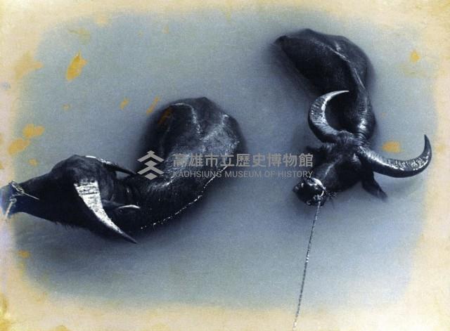 登錄號:KH2015.005.0418藏品圖，第1張