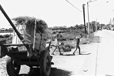 登錄號:KH2006.014.0148藏品圖，第1張