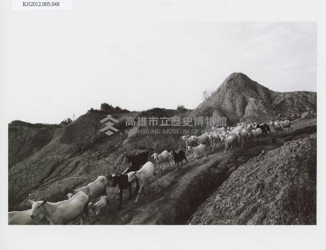 登錄號:KH2012.005.0048藏品圖，第1張