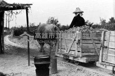 登錄號:KH2006.014.0138藏品圖，第1張