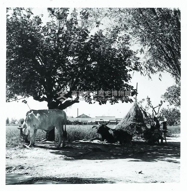 登錄號:KH2015.005.0178藏品圖，第1張