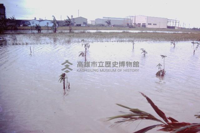 凱特林颱風-1藏品圖，第1張