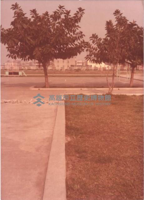 鳳鳴國小校園景致與樹木藏品圖，第1張