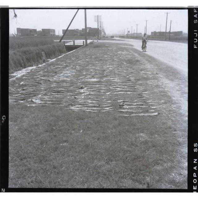 高雄市九如二路藏品圖，第1張