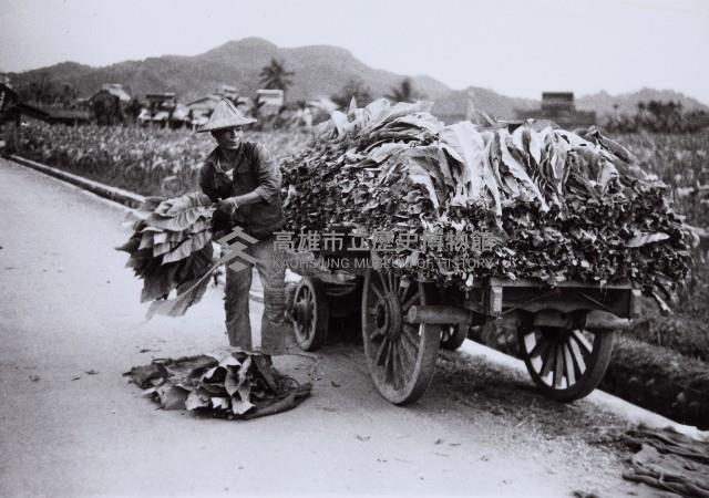 登錄號:KH2015.003.0050藏品圖，第1張