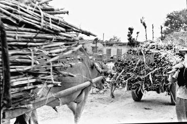 登錄號:KH2006.014.0140藏品圖，第1張