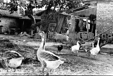 登錄號:KH2006.014.0130藏品圖，第1張