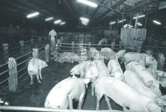 登錄號:KH2015.004.0166藏品圖，第1張