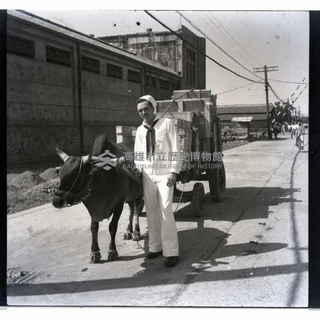 美海軍士兵與牛車藏品圖，第1張