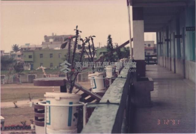 1991年鳳鳴國小外牆花圃植栽藏品圖，第1張