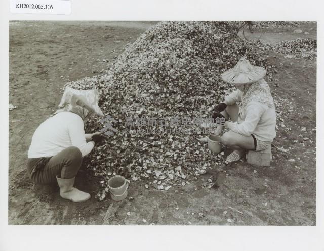 登錄號:KH2012.005.0116藏品圖，第1張