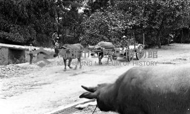 登錄號:KH2006.014.0316藏品圖，第1張