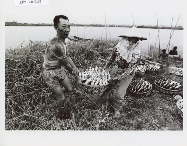 登錄號:KH2012.005.0156藏品圖，第1張