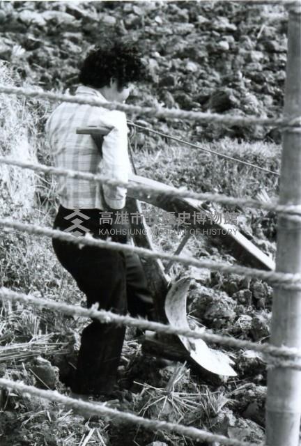 高雄鄉間農作景象-5藏品圖，第1張