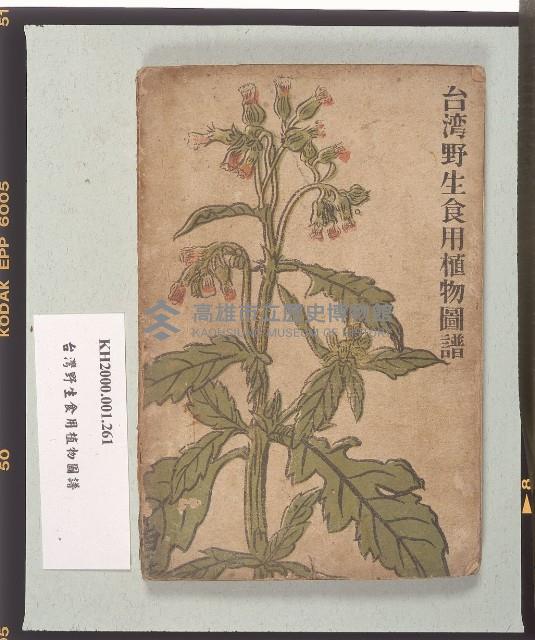 《台灣野生食用植物圖譜》藏品圖，第1張