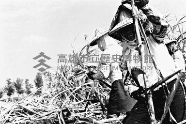 登錄號:KH2006.014.0261藏品圖，第1張