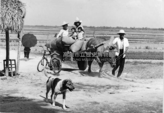 登錄號:KH2006.014.0501藏品圖，第1張