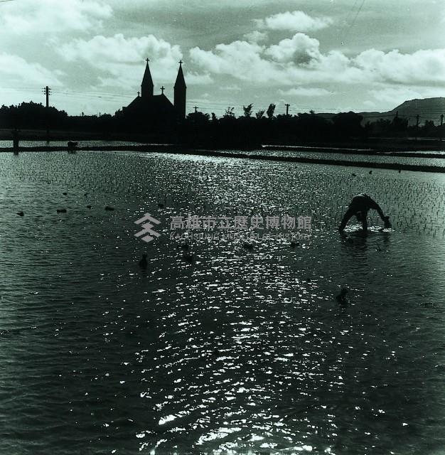 登錄號:KH2015.005.0211藏品圖，第1張