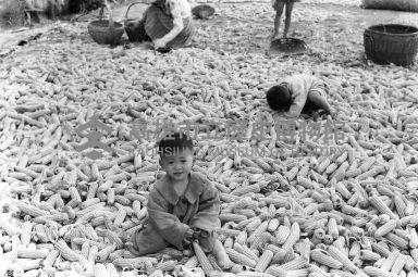 登錄號:KH2006.014.0211藏品圖，第1張