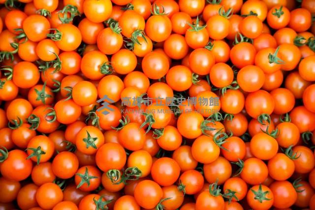 登錄號:KH2017.016.0011藏品圖，第1張