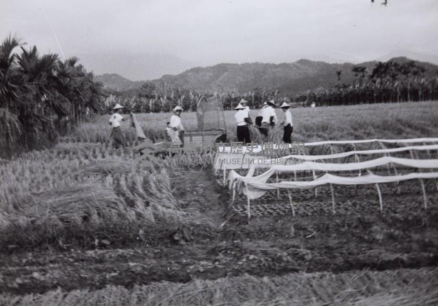 登錄號:KH2015.003.0041藏品圖，第1張