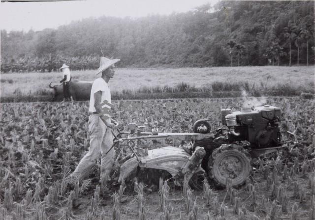 登錄號:KH2015.003.0031藏品圖，第1張