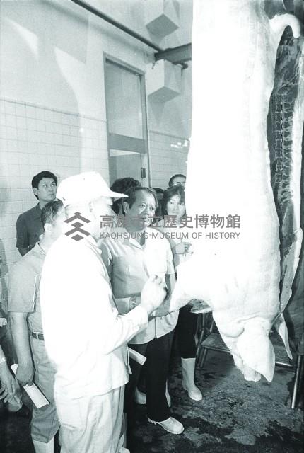 登錄號:KH2015.004.0164藏品圖，第1張