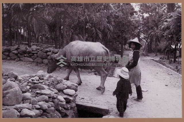 瑪家村人與牛藏品圖，第1張