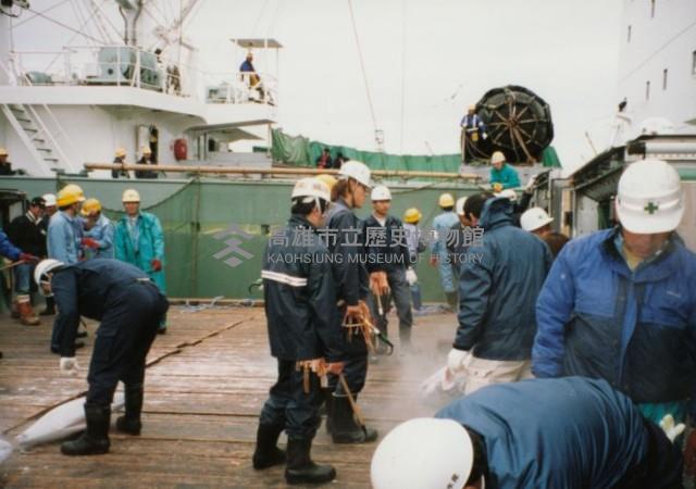 臺中清水港卸魚情形-2藏品圖，第1張