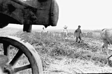 登錄號:KH2006.014.0324藏品圖，第1張