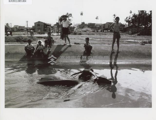 登錄號:KH2012.005.0004藏品圖，第1張