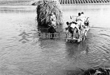 登錄號:KH2006.014.0314藏品圖，第1張