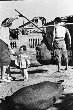 登錄號:KH2006.014.0154藏品圖，第1張