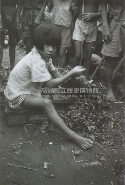 處理植物的女童藏品圖，第1張