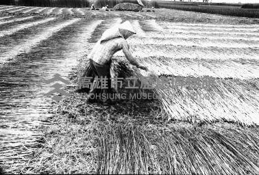 登錄號:KH2006.014.0234藏品圖，第1張