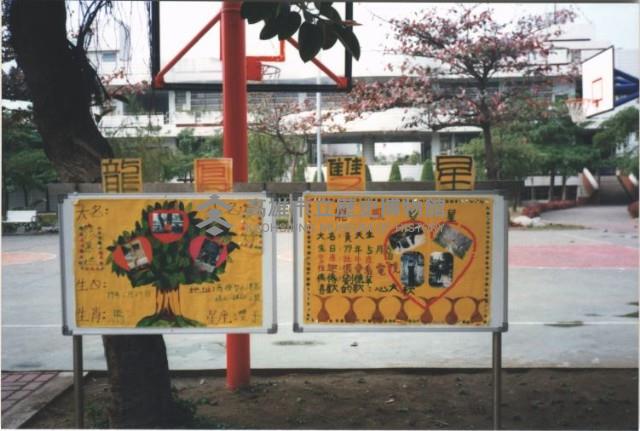 龍鳳雙星－學生資料裝飾面板藏品圖，第1張