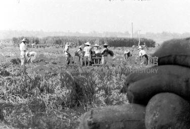 登錄號:KH2006.014.0134藏品圖，第1張