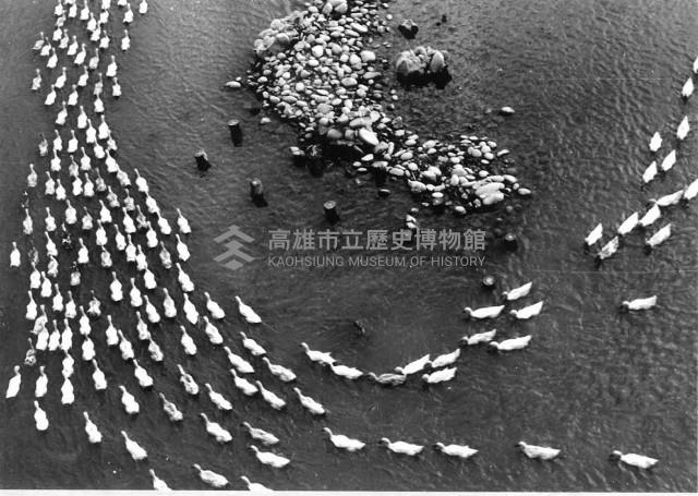 登錄號:KH2006.014.0262藏品圖，第1張