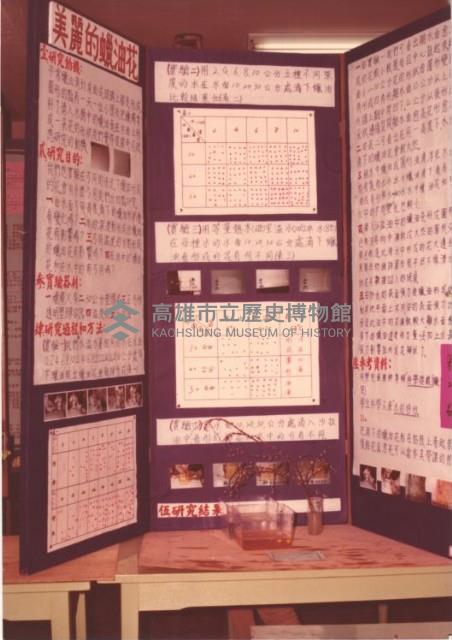 科展專題：美麗的蠟油花藏品圖，第1張