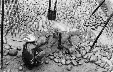 登錄號:KH2006.014.0362藏品圖，第1張