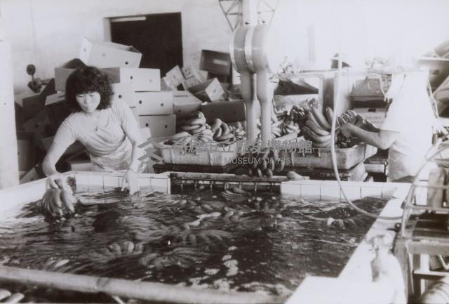 登錄號:KH2015.003.0122藏品圖，第1張