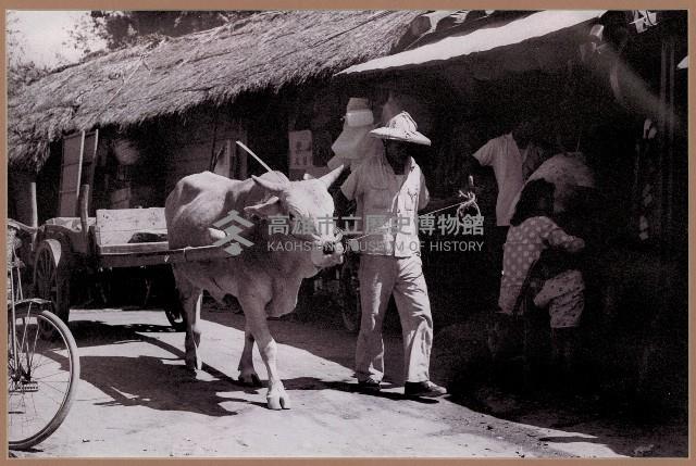 牽牛車藏品圖，第1張