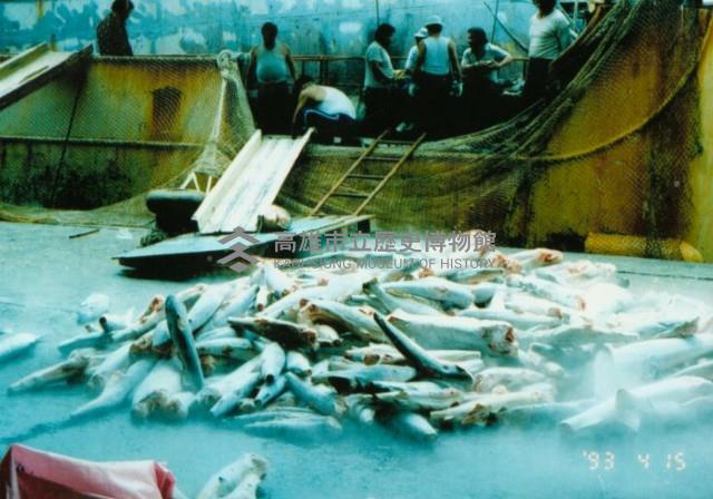 漁船魚貨藏品圖，第1張